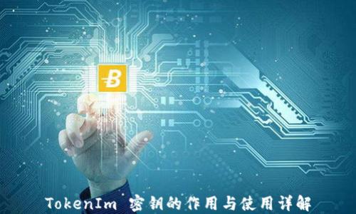 
TokenIm 密钥的作用与使用详解