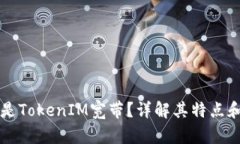 什么是TokenIM宽带？详解其特点和应用