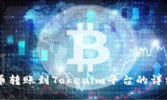  PIG币转账到Tokenim平台的详细指南