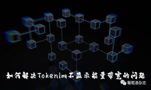 如何解决Tokenim不显示能量带宽的问题