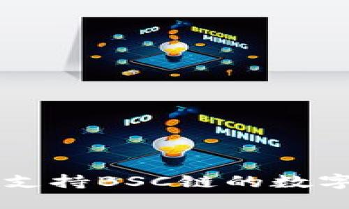 Tokenim钱包：支持BSC链的数字资产管理工具