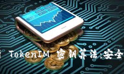 深入解析 TokenIM 密钥算法：安全性与应用