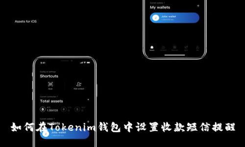 如何在Tokenim钱包中设置收款短信提醒
