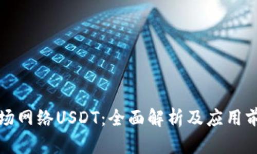 波场网络USDT：全面解析及应用前景