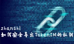 zhanshi如何安全导出TokenIM的私钥
