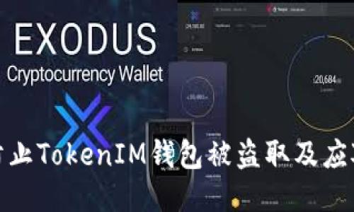 如何防止TokenIM钱包被盗取及应对措施