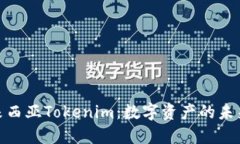 : 马来西亚Tokenim：数字资产的未来之路