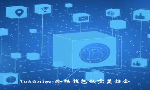 Tokenim：冷热钱包的完美结合