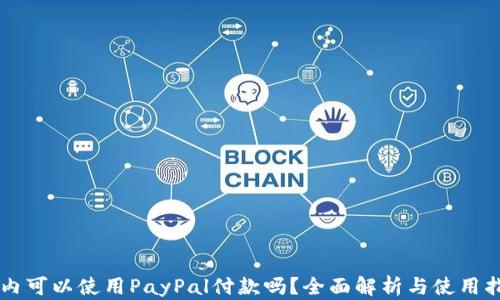 
国内可以使用PayPal付款吗？全面解析与使用指南