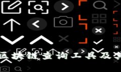 全面解析区块链查询工具及其使用方法