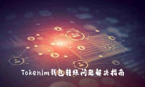 Tokenim钱包转账问题解决指南