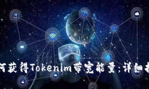 如何获得Tokenim带宽能量：详细指南