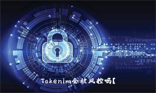 Tokenim会被风控吗？