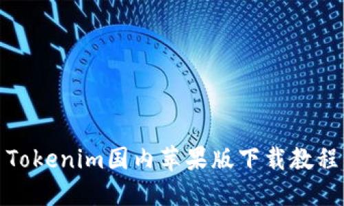 Tokenim国内苹果版下载教程