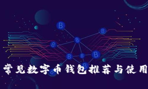 中国常见数字币钱包推荐与使用指南