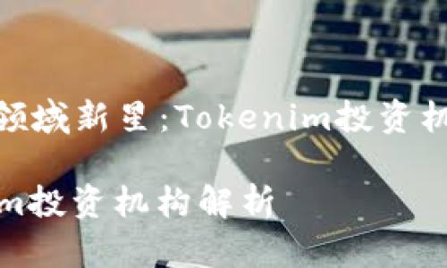 : 投资领域新星：Tokenim投资机构详解

Tokenim投资机构解析