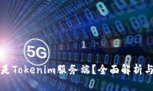 什么是Tokenim服务端？全面解析与应用
