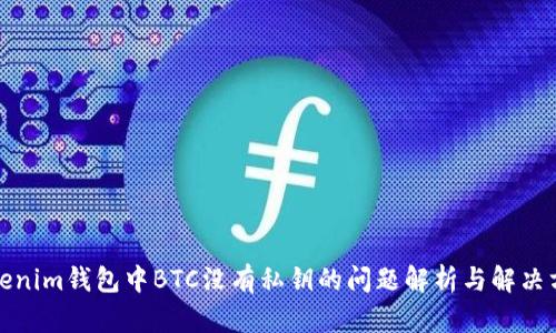 Tokenim钱包中BTC没有私钥的问题解析与解决方案