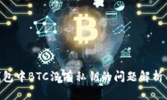Tokenim钱包中BTC没有私钥的问题解析与