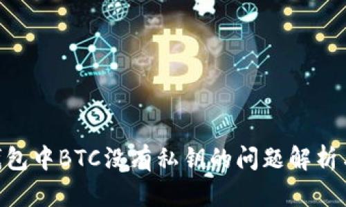 Tokenim钱包中BTC没有私钥的问题解析与解决方案