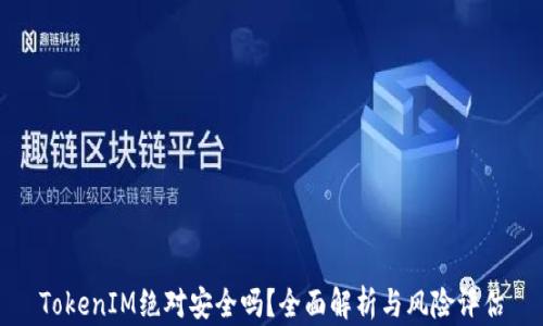 
TokenIM绝对安全吗？全面解析与风险评估