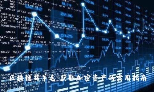 区块链薅羊毛：获取加密资产的实用指南