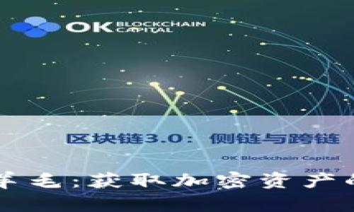 区块链薅羊毛：获取加密资产的实用指南